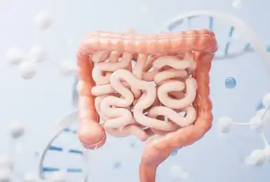 Zein Powder Zein Powder