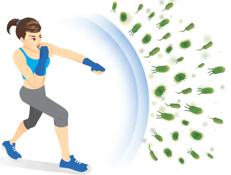 cryptotanshinone powder cryptotanshinone powder