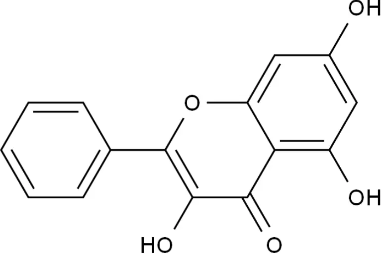Galangin powder Galangin powder