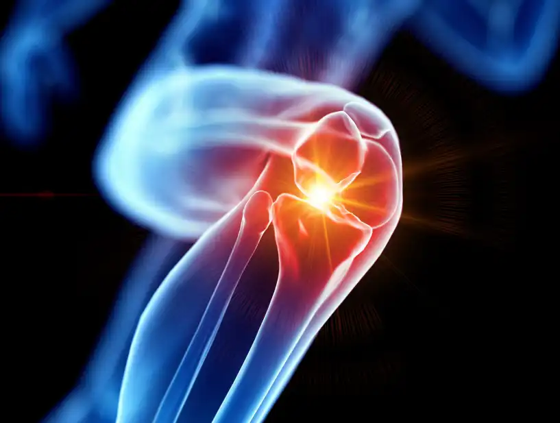 Galangin powder Galangin powder