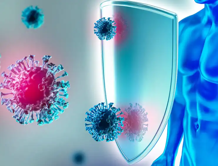 Galangin powder Galangin powder