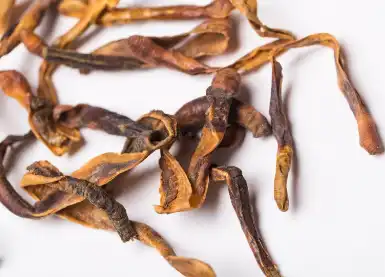 Bulk Earthworm Protein Powder Bulk Earthworm Protein Powder