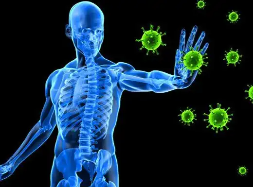 Bulk Earthworm Protein Powder Bulk Earthworm Protein Powder