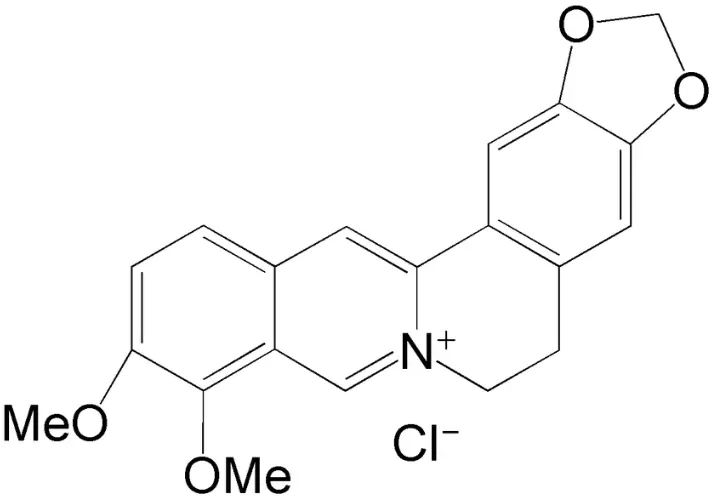Berberine Hydrochloride Powder Berberine Hydrochloride Powder