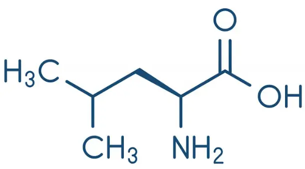 L-leucine powder