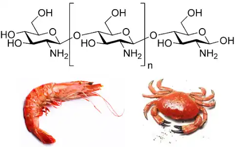 Chitosan powder Chitosan powder