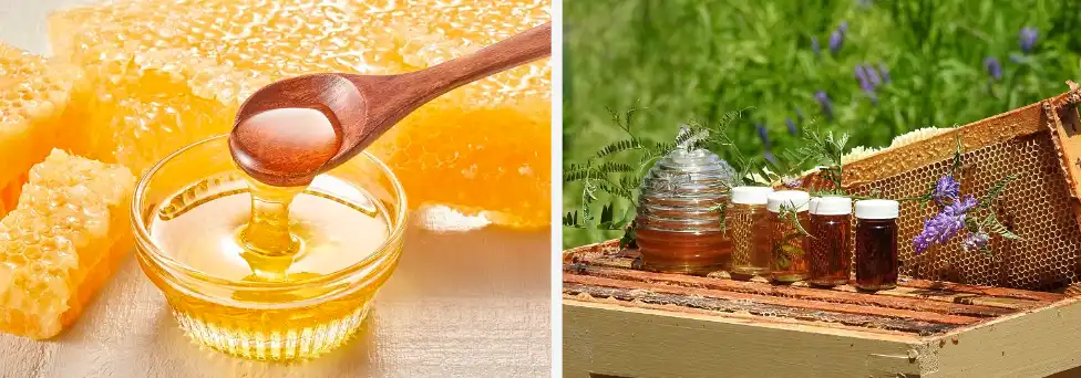 Freeze Dried Honey Powder Freeze Dried Honey Powder