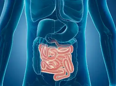 Freeze Dried Honey Powder Freeze Dried Honey Powder