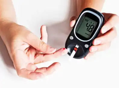 Berberine Sulfate Powder Berberine Sulfate Powder