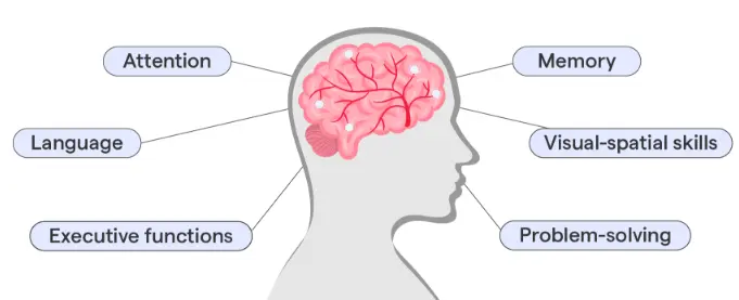 Nicotinamide Adenine Dinucleotide Nicotinamide Adenine Dinucleotide