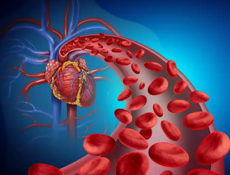 Freeze-Dried Rose Flower Powder Freeze-Dried Rose Flower Powder