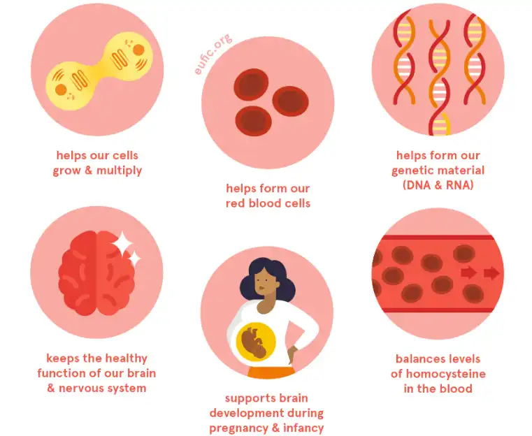 Folic Acid