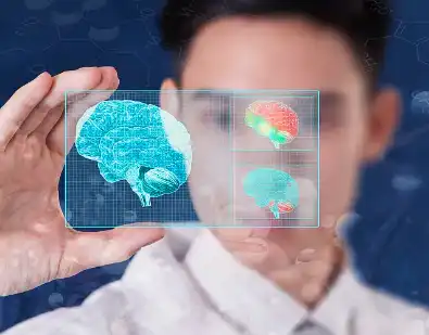 Cornus Officinalis Extract Cornus Officinalis Extract