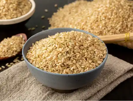 Polvo de proteína de arroz integral a granel