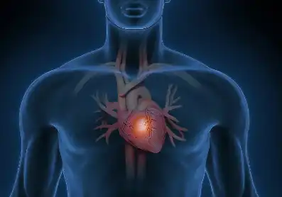 Pure Magnesium Chloride Powder Pure Magnesium Chloride Powder