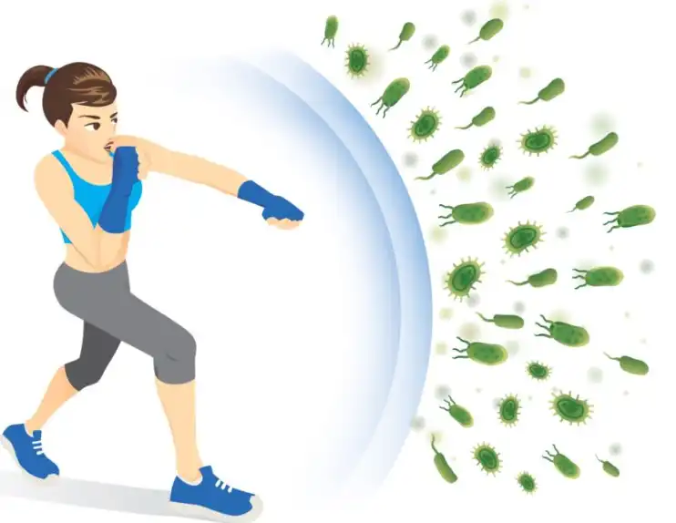 Mulberry Juice SD Powder Mulberry Juice SD Powder