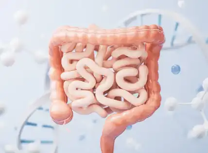 Liposomal Glutathione Bulk Liposomal Glutathione Bulk