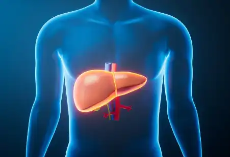 Wild Chrysanthemum Extract Wild Chrysanthemum Extract