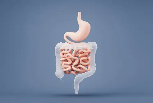 Black rice protein powder Black rice protein powder