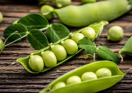 Bulk Pea Starch