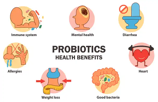 Bulk Pea Starch Bulk Pea Starch