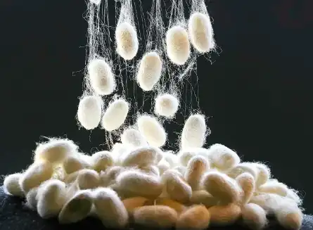 silk fibroin silk fibroin