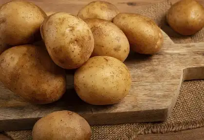 Bulk Potato Protein Powder