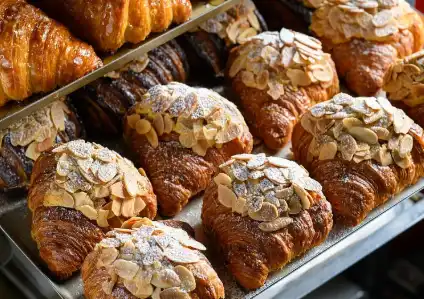 Bulk Potato Protein Powder Bulk Potato Protein Powder