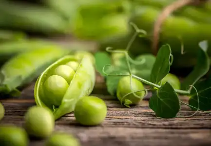 Bulk Pea Starch