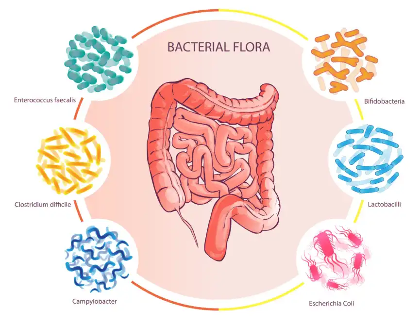 pure nuciferine pure nuciferine