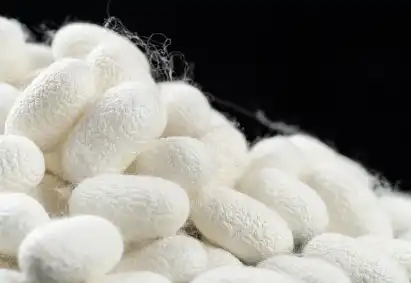 silk fibroin powder