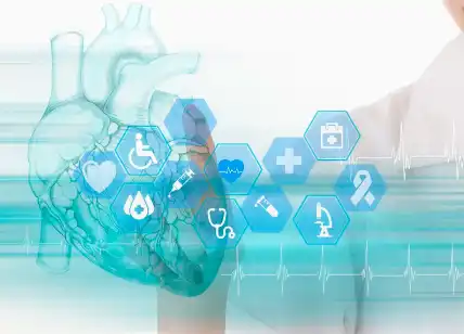 Luteolin Bulk Powder Luteolin Bulk Powder