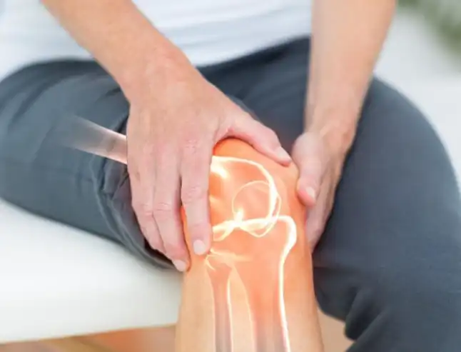 saikosaponin powder saikosaponin powder