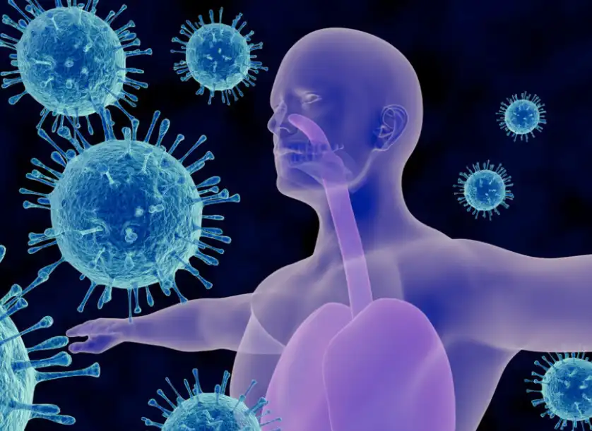 Cinchona Extract Powder Cinchona Extract Powder