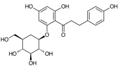 phlorizin powder phlorizin powder