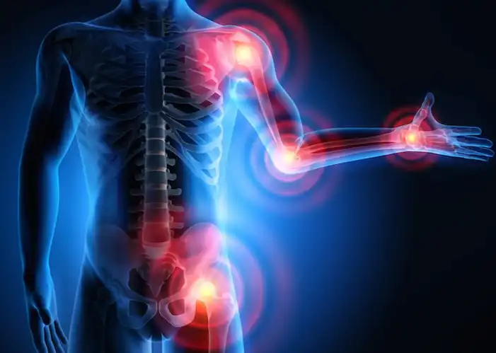 seabuckthorn flavone seabuckthorn flavone