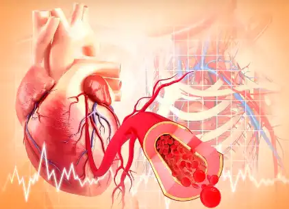 oxymatrine powder oxymatrine powder