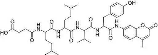 Calcium Caseinate Powder