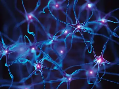 Hydroxocobalamin Hydrochloride Hydroxocobalamin Hydrochloride