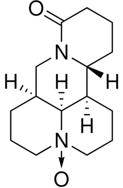 oxymatrine powder