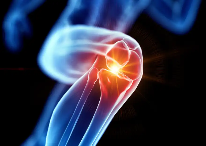 Luteolin Bulk Powder Luteolin Bulk Powder