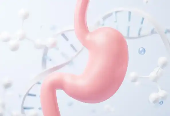 Papaya juice powder Papaya juice powder