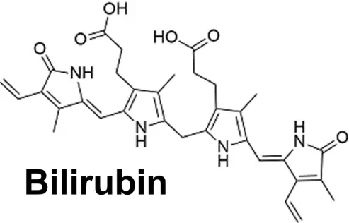 Bilirubin Powder