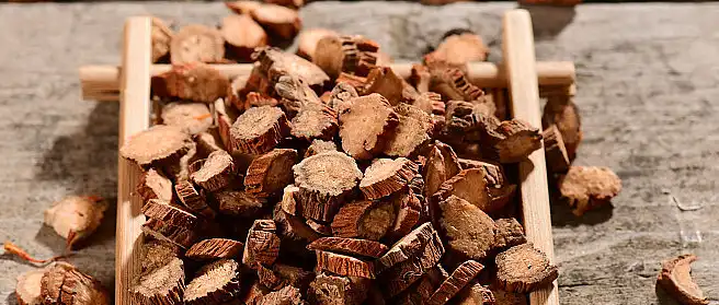 Salvia miltiorrhiza extract Salvia miltiorrhiza extract