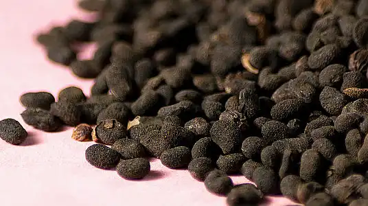 Bakuchiol Oil Bulk Bakuchiol Oil Bulk