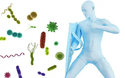 Astragalus Polysaccharide Powder