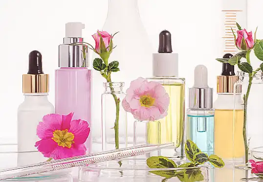 loquat leaf extract loquat leaf extract