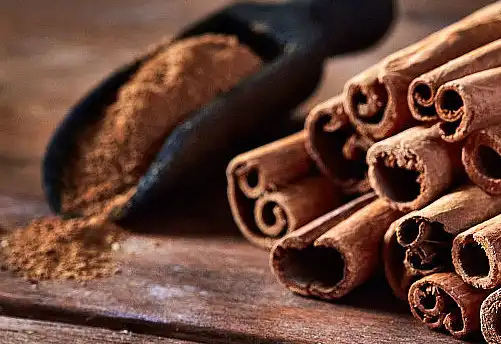 Bulk Cinnamon Extract