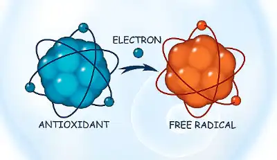 Mangiferin Powder Mangiferin Powder