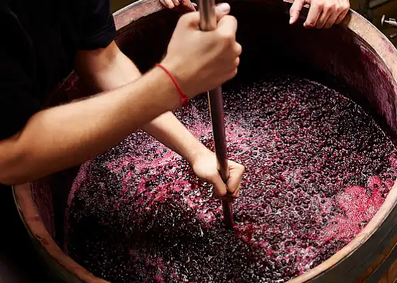 Tannic Acid Powder Tannic Acid Powder